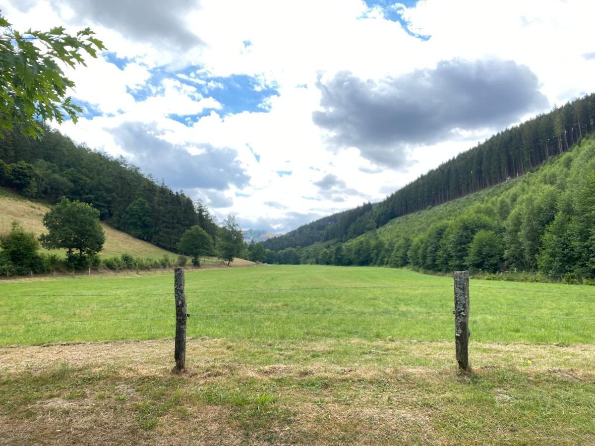 Schmallenberger Ferienhaus Екстер'єр фото